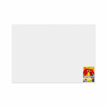 Carton Color Alb 270G/MP 70x100 10 Coli Daco 