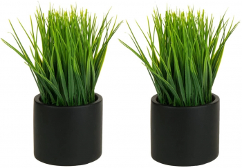 Set 2 Bucati Iarba Artificiala Verdeata Decorativa in Ghivece Moderne Inaltime 20 cm 