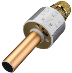 Microfon Karaoke Cu Bluetooth Si Boxa Incorporata Compatibil cu Orice Smartphone Acumulator Integrat Auriu 