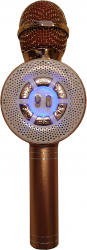 Microfon party 1 difuzor bluetooth cititor stick card karaoke style Premium Quality auriu rose 
