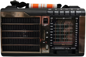 Radio elSales ELS-889 cu USB cititor card FM AM gri 