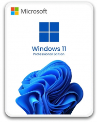 Microsoft Windows 11 Professional 5 dispozitive toate limbile 64-bit stick USB 