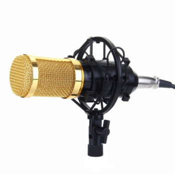 Microfon Profesional BM800 Techstar and reg Inregistrare Vocala si Karaoke Gold Negru 