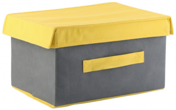 Cutie depozitare cu capac 34x24x19 cm Sofia 