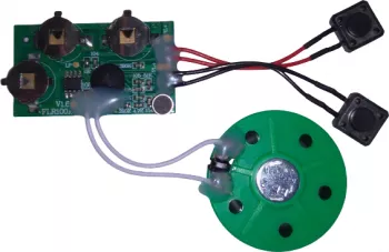 Modul inregistrare voce OKYN3166