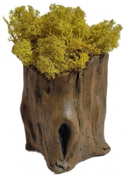 Aranjament Licheni Ghiveci Decorativ Galben M1 