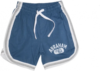Pantaloni scurti pentru baieti Wendee DY-14116-1 Albastru 