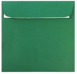Plic Patrat siliconic DACO PC1616VP Verde Padure 
