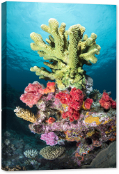 Tablou canvas luminescent luminos in intuneric GlowforHome Dualv-View rama lemn fosforescent Coral tropical verde 90 cm x 60 cm 