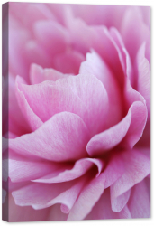 Tablou canvas luminescent luminos in intuneric GlowforHome Dualv-View rama lemn fosforescent Floral Abstract 90 cm x 60 cm 