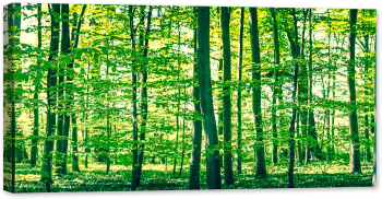 Tablou canvas luminescent luminos in intuneric GlowforHome Dualv-View rama lemn fosforescent Padurea de fag inverzita 80 cm x 40 cm 