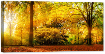 Tablou canvas luminescent luminos in intuneric GlowforHome Dualv-View rama lemn fosforescent Panorama padurii Toamna 80 cm x 40 cm 
