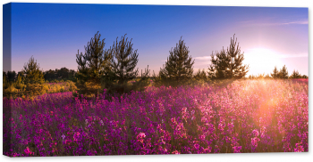 Tablou canvas luminescent luminos in intuneric GlowforHome Dualv-View rama lemn fosforescent Peisaj de vara cu lunca inflorita 80 cm 