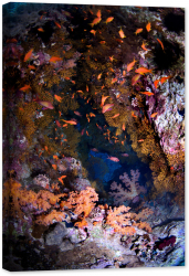 Tablou canvas luminescent luminos in intuneric GlowforHome Dualv-View rama lemn fosforescent Pestera Coralilor Colorati 120 cm x 80 c 