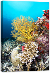 Tablou canvas luminescent luminos in intuneric GlowforHome Dualv-View rama lemn fosforescent Coral moale in Marea Galbena Tropicala 1 