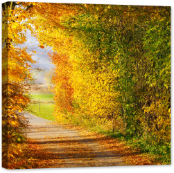 Tablou luminos in intuneric GlowforHome Alee pentru Drumetii toamna cu frunze uscate 80 cm x 80 cm 