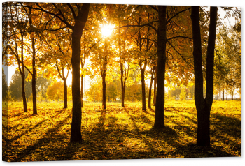 Tablou luminos in intuneric GlowforHome Apus in parc 60 cm x 40 cm 