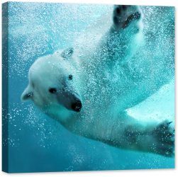 Tablou luminos in intuneric GlowforHome Atacul subacvatic al ursului polar 60 cm x 60 cm 