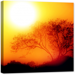 Tablou luminos in intuneric GlowforHome copac la Rasarit intr-o dimineata cetoasa 80 cm x 80 cm 