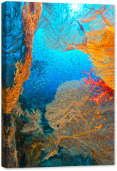 Tablou canvas luminescent luminos in intuneric GlowforHome Dualv-View rama lemn fosforescent Coral moale de mare si Glassfish 90 cm x 