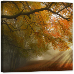 Tablou luminos in intuneric GlowforHome Drum prin padure in ceata cu silueta umana si copaci multicolori toamna 80 cm x 80 cm