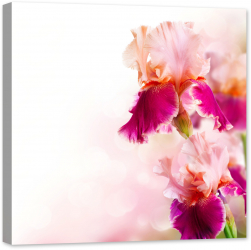Tablou luminos in intuneric GlowforHome Flori de Iris pe fundal alb 60 cm x 60 cm 