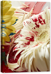 Tablou canvas luminescent luminos in intuneric GlowforHome Dualv-View rama lemn fosforescent Flori Gerber 60 cm x 40 cm 