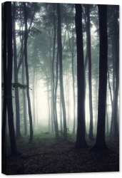 Tablou canvas luminescent luminos in intuneric GlowforHome Dualv-View rama lemn fosforescent Fotografia unei paduri dimineata 60 cm x 