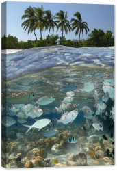 Tablou canvas luminescent luminos in intuneric GlowforHome Dualv-View rama lemn fosforescent Laguna tropicala din Maldive 90 cm x 60 