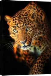 Tablou luminos in intuneric GlowforHome Leopard 60 cm x 40 cm 