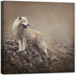 Tablou luminos in intuneric GlowforHome Lupul alb pe stanci 60 cm x 60 cm 
