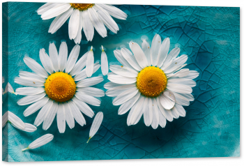 Tablou luminos in intuneric GlowforHome Margarete care plutesc in apa 60 cm x 40 cm 