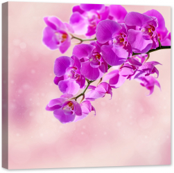Tablou luminos in intuneric GlowforHome Orhidee Roz de aproape 80 cm x 80 cm 