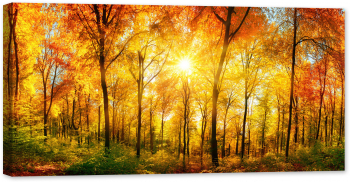 Tablou canvas luminescent luminos in intuneric GlowforHome Dualv-View rama lemn fosforescent Padurea Portocalie Toamna 120 cm x 60 cm 