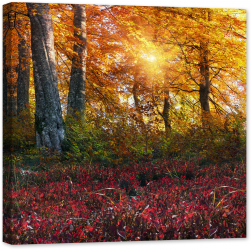 Tablou luminos in intuneric GlowforHome Padurile Alpine de Aur 80 cm x 80 cm 