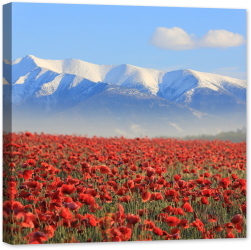 Tablou luminos in intuneric GlowforHome Peisaj panorama cu Flori in camp de mac si munti inzapeziti 60 cm x 60 cm 