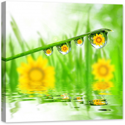 Tablou luminos in intuneric GlowforHome Picaturi de roua 60 cm x 60 cm 
