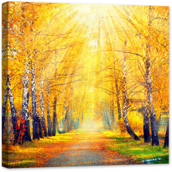 Tablou luminos in intuneric GlowforHome Raze de lumina in Parcul de mesteceni Toamna 80 cm x 80 cm 