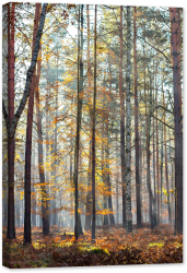 Tablou canvas luminescent luminos in intuneric GlowforHome Dualv-View rama lemn fosforescent Razele soarelui traverseaza o padure ceto 