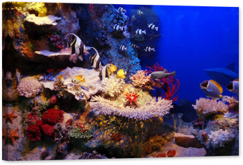 Tablou luminos in intuneric GlowforHome Scena subacvatica mare colorata 90 cm x 60 cm 