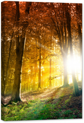 Tablou canvas luminescent luminos in intuneric GlowforHome Dualv-View rama lemn fosforescent Soare in padurea de toamna 60 cm x 40 cm 
