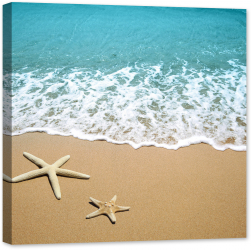 Tablou luminos in intuneric GlowforHome Steaua de mare pe un nisip de plaja 80 cm x 80 cm 