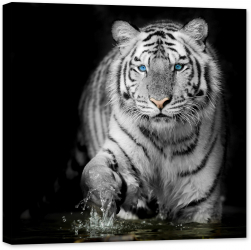 Tablou luminos in intuneric GlowforHome Tigrul alb si negru 80 cm x 80 cm 