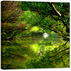 Tablou luminos in intuneric GlowforHome Tunelul Verde de copaci deasupra reflexiei raului 60 cm x 60 cm 