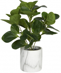 Planta artificiala in ghiveci 31x31x32 cm 