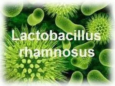 Oemine Probiotice 5 miliarde de bacilii enterici 60 capsule 