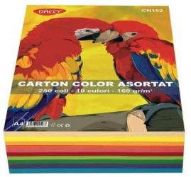 Carton Color Asortat A4 160g/m2 250 de coli 10 culori 