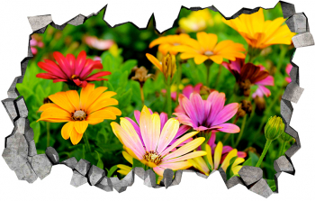 Autocolant decorativ Gaura in perete Arbori si flori Multicolor 83 cm 422ST-3 
