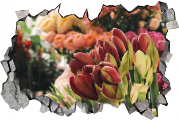 Autocolant decorativ Gaura in perete Arbori si flori Multicolor 83 cm 576ST-3 