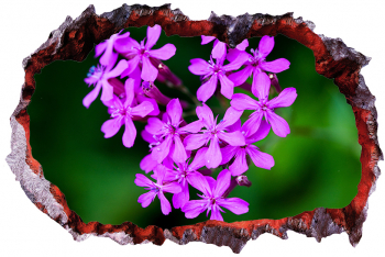 Autocolant decorativ Gaura in perete Natura si peisaje Multicolor 85 cm 2284ST-1 